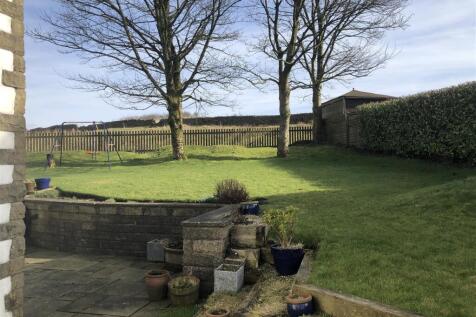 Garden 2.jpeg