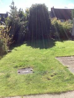 Garden better pic.jpg