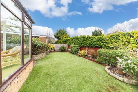 20 Ashton Avenue garden.jpg