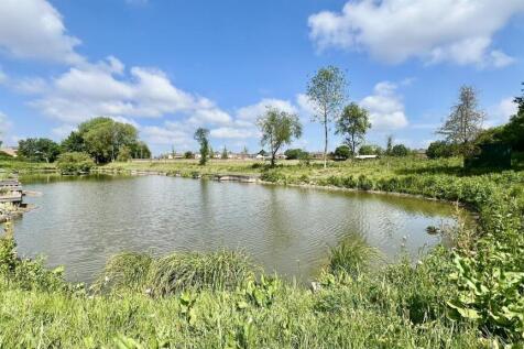 Lake.jpg