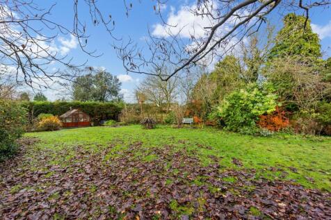 37 Ormskirk Road garden 2.jpg