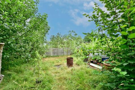 Property Image 34
