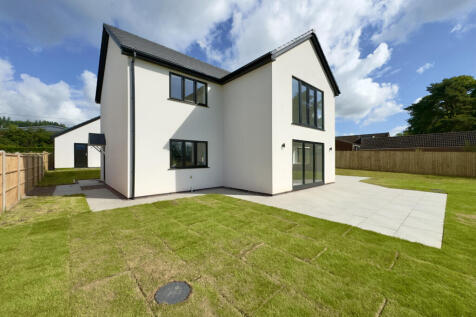Patio &amp; Lawn
