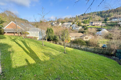 Lawn Area