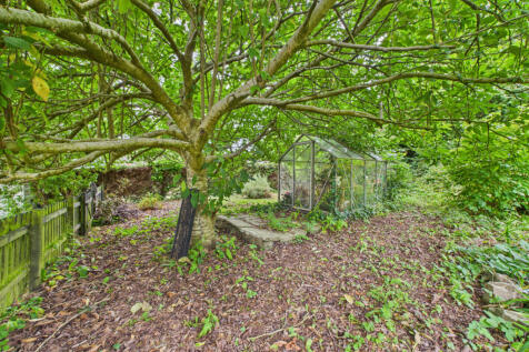Back Garden