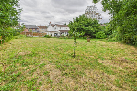 Back Garden