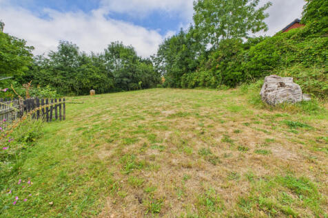 Back Garden