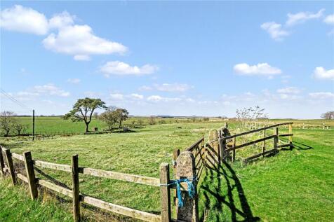 Field