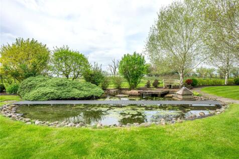 Pond
