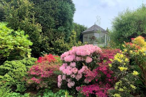 Garden Flowers