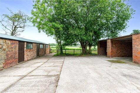 Rear Yard