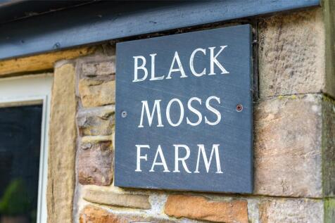 Black Moss Farm