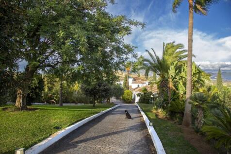Property Image 32