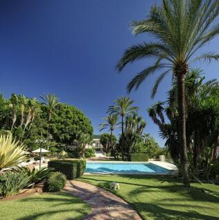 Property Image 37