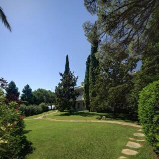 Property Image 41