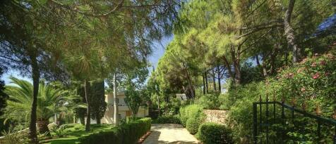 Property Image 42