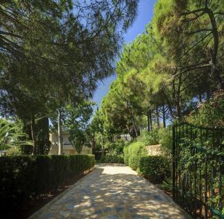 Property Image 43