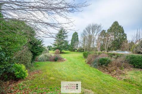 Back garden