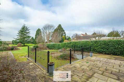 Back garden