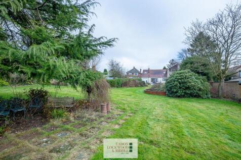 Back garden