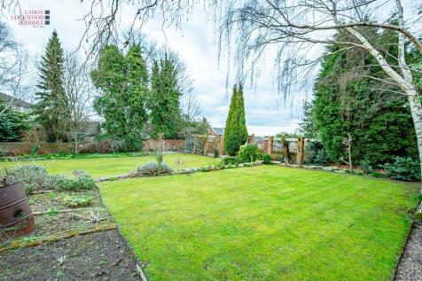 Back Garden