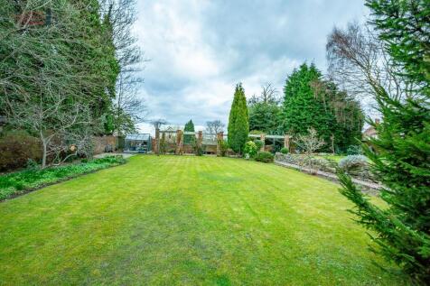 Back Garden
