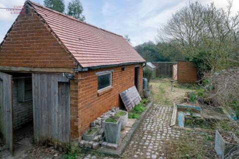 Back garden