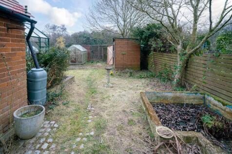 Back garden