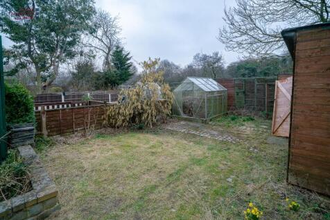 Back garden