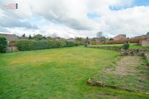 Back garden 1.1.jpg