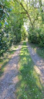 Lane