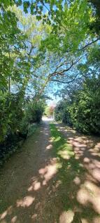 Lane