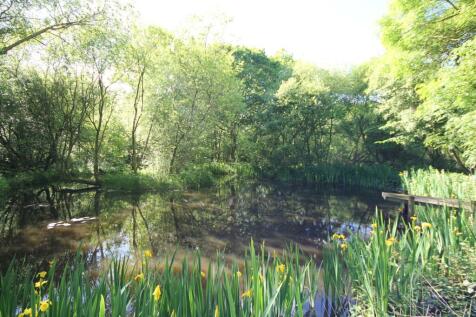 Property Image 31