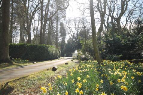 Entrance Road