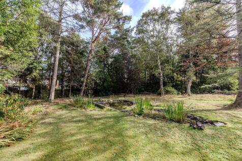 5TheRise-DarrasHall-NE209LJ-55