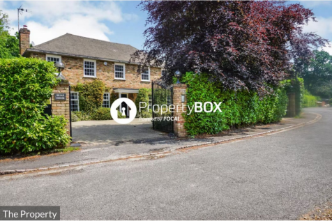 Property Image 21