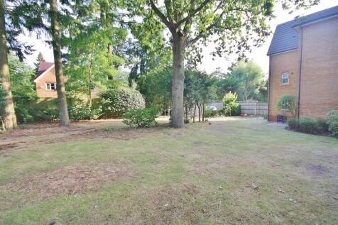 Photo 09