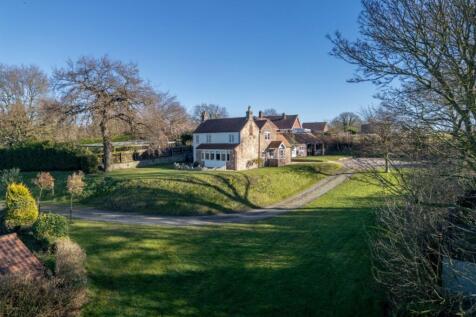 DJI_0155