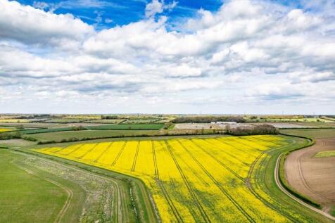 DJI_0424