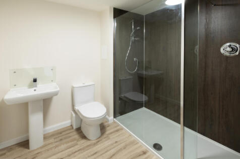 Jameson apartment shower room