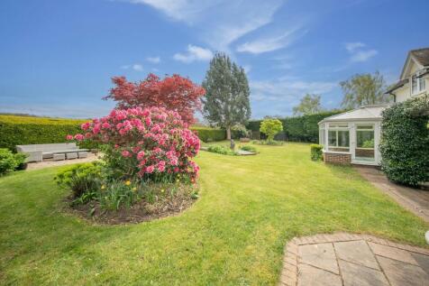 Property Image 38