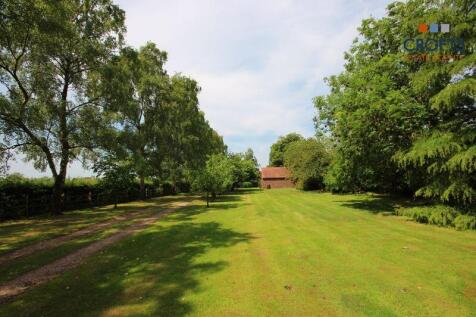 Garden view 6