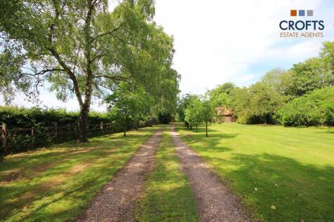 Garden view 7