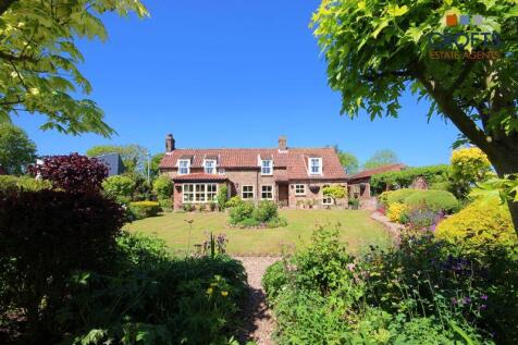 Garden view 4