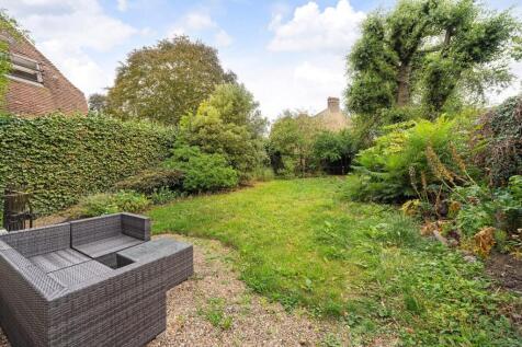 Garden.JPG