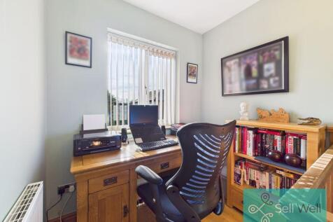 Study Area