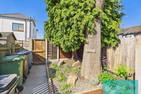Back Garden