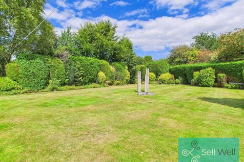 Back garden