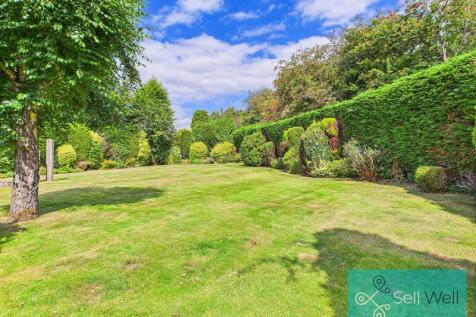 Back Garden