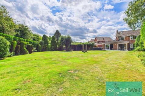 Back Garden